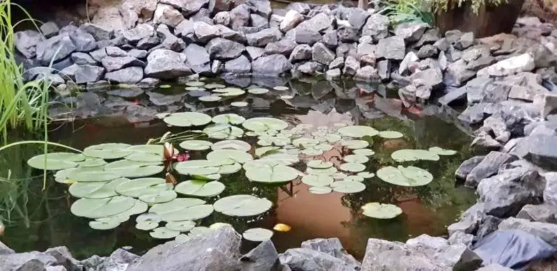 Turda Cazare | Pensiune (K0070-19) Imaginea poate fi supusă drepturilor de autor. Se recomandă contactarea titularului drepturilor.