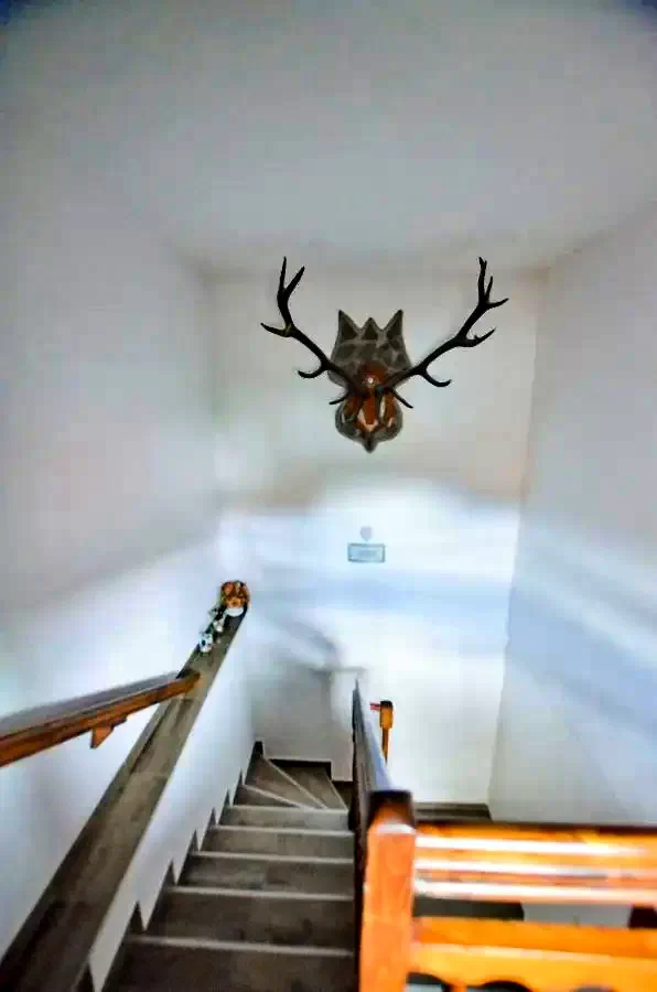 Sepsiszentgyörgy Szállás | Panzió (K1408-13) A kép szerzői jogvédelem alatt állhat. Javasolt a kapcsolatfelvétel a jog tulajdonossal.