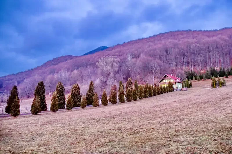 Szállás Bixad - Vila Solyomkő | Sepsibükszád - Sólyomkő Kulcsosház. A kép szerzői jogvédelem alatt állhat. Javasolt a kapcsolatfelvétel a jog tulajdonossal.