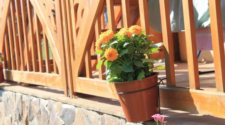 Sepsiszentgyörgy Szállás | Panzió (K1450-27) A kép szerzői jogvédelem alatt állhat. Javasolt a kapcsolatfelvétel a jog tulajdonossal.