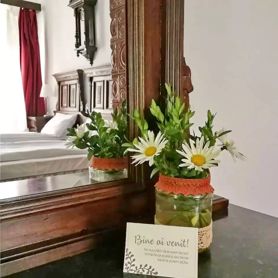 Szállás Malnaş-Băi - Casa Eltes** | Málnásfürdő - Éltes Ház**. A kép szerzői jogvédelem alatt állhat. Javasolt a kapcsolatfelvétel a jog tulajdonossal.