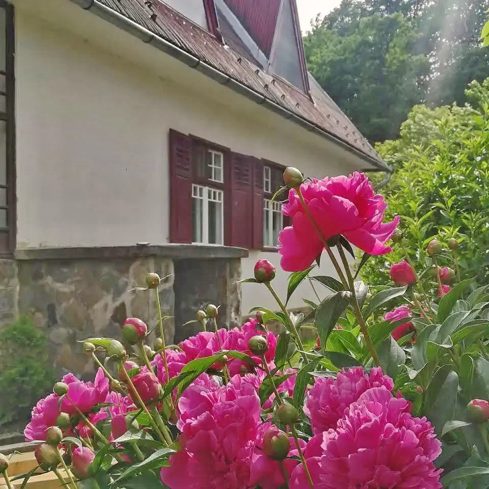 Szállás Malnaş-Băi - Casa Eltes** | Málnásfürdő - Éltes Ház**. A kép szerzői jogvédelem alatt állhat. Javasolt a kapcsolatfelvétel a jog tulajdonossal.