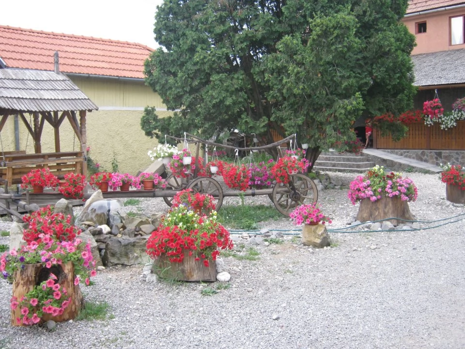 Kovászna Szállás | Panzió (K1443-41) A kép szerzői jogvédelem alatt állhat. Javasolt a kapcsolatfelvétel a jog tulajdonossal.