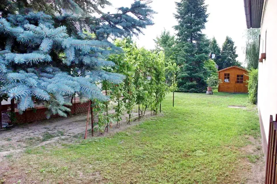 Kiskunmajsa Szállás | Vendégház (K1059-15) A kép szerzői jogvédelem alatt állhat. Javasolt a kapcsolatfelvétel a jog tulajdonossal.