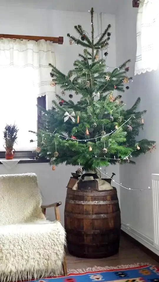 Kézdivásárhely Szállás | Panzió (K0747-15) A kép szerzői jogvédelem alatt állhat. Javasolt a kapcsolatfelvétel a jog tulajdonossal.