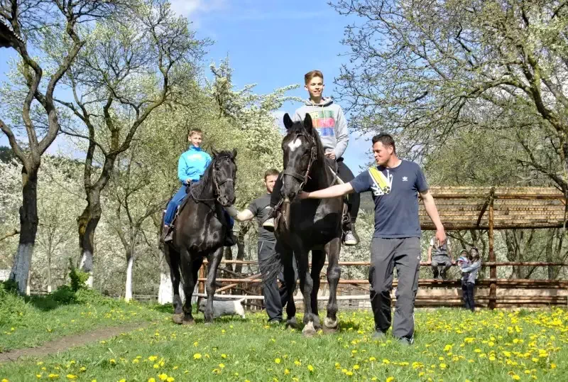 Kézdivásárhely Szállás | Panzió (K0747-26) A kép szerzői jogvédelem alatt állhat. Javasolt a kapcsolatfelvétel a jog tulajdonossal.