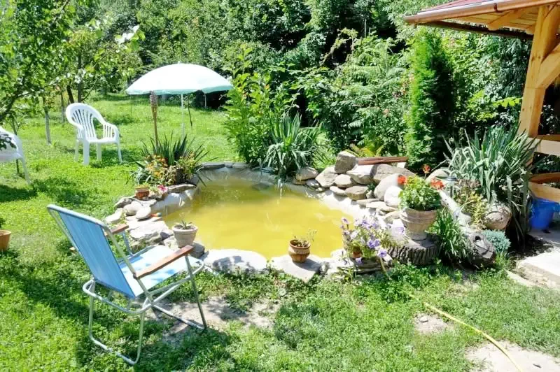 Târgu Secuiesc Cazare | Pensiune (K0597-20) Imaginea poate fi supusă drepturilor de autor. Se recomandă contactarea titularului drepturilor.