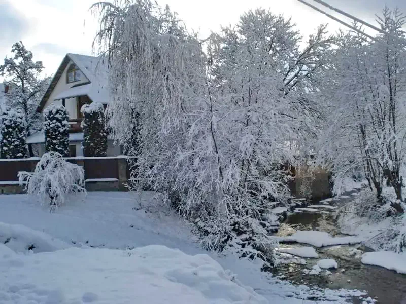 Kézdivásárhely Szállás | Panzió (K0597-24) A kép szerzői jogvédelem alatt állhat. Javasolt a kapcsolatfelvétel a jog tulajdonossal.
