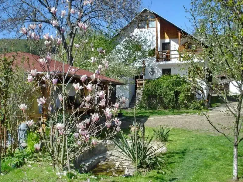 Kézdivásárhely Szállás | Panzió (K0597-40) A kép szerzői jogvédelem alatt állhat. Javasolt a kapcsolatfelvétel a jog tulajdonossal.