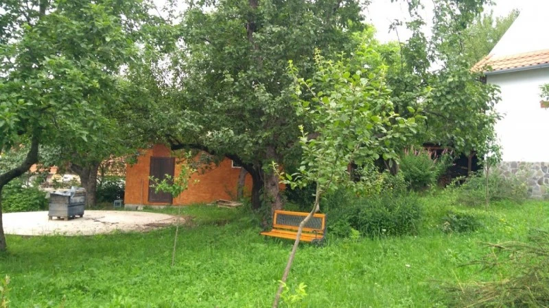 Sfântu Gheorghe Cazare | Pensiune (K1530-39) Imaginea poate fi supusă drepturilor de autor. Se recomandă contactarea titularului drepturilor.