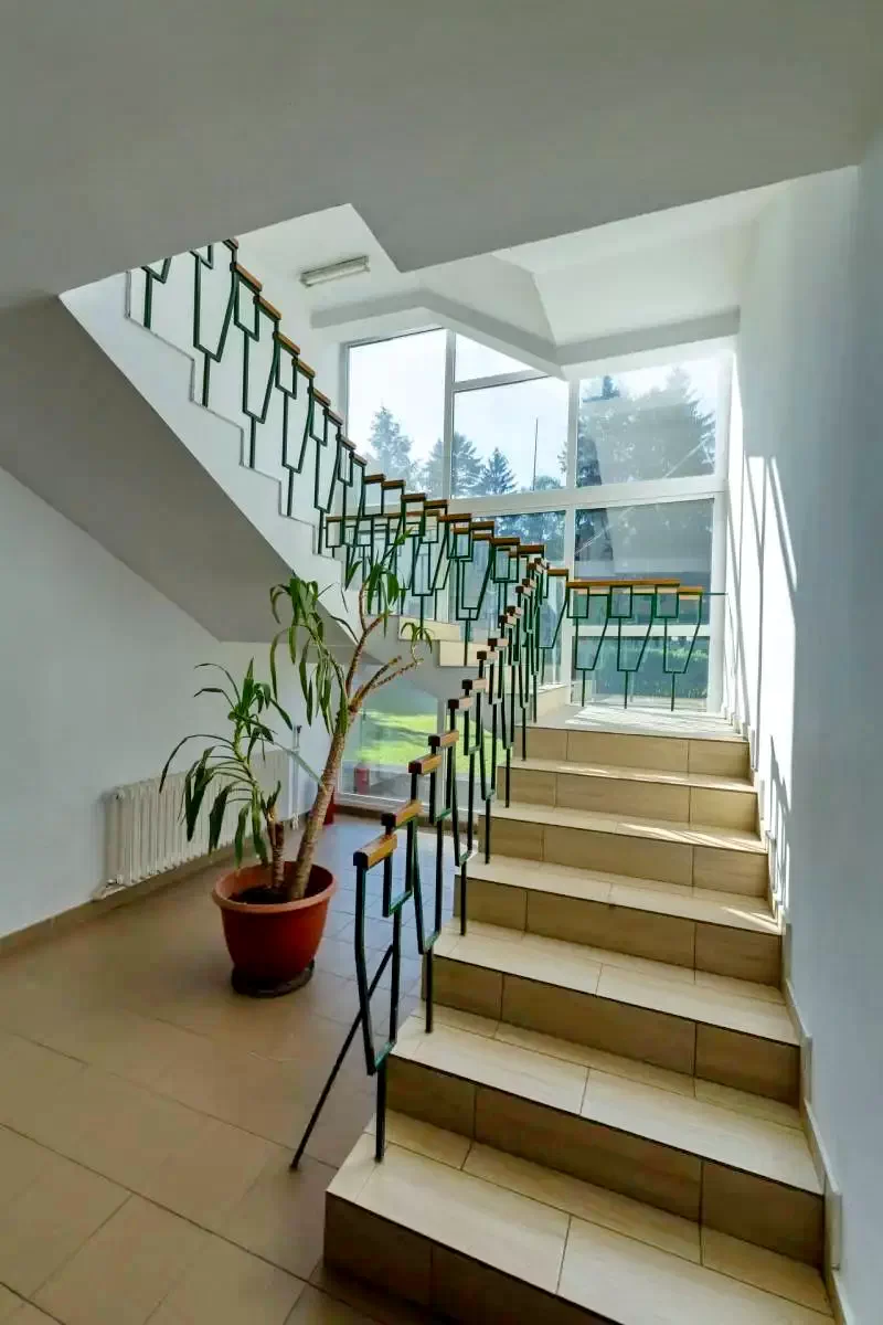 Sfântu Gheorghe Cazare | Hostel (K0763-19) Imaginea poate fi supusă drepturilor de autor. Se recomandă contactarea titularului drepturilor.