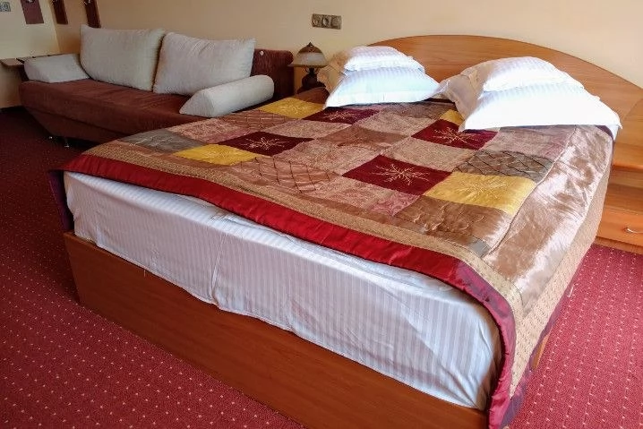 Scărișoara Cazare | Hotel*** (K1458-48) Imaginea poate fi supusă drepturilor de autor. Se recomandă contactarea titularului drepturilor.