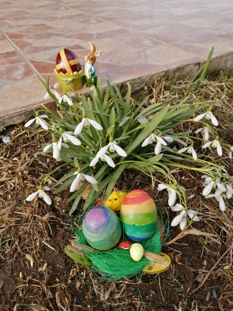 Lepus Szállás | Panzió (K0837-27) A kép szerzői jogvédelem alatt állhat. Javasolt a kapcsolatfelvétel a jog tulajdonossal. Lepus Szállás | Panzió (K0837-27) A kép szerzői jogvédelem alatt állhat. Javasolt a kapcsolatfelvétel a jog tulajdonossal.