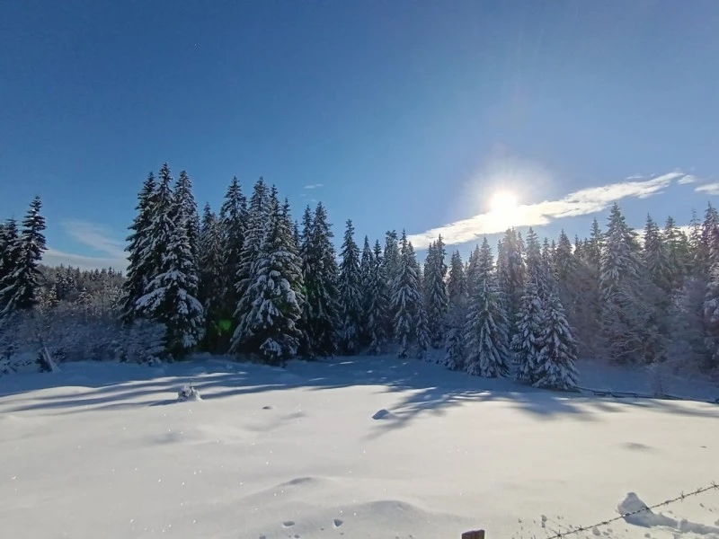 Lepus Szállás | Panzió (K0837-30) A kép szerzői jogvédelem alatt állhat. Javasolt a kapcsolatfelvétel a jog tulajdonossal. Lepus Szállás | Panzió (K0837-30) A kép szerzői jogvédelem alatt állhat. Javasolt a kapcsolatfelvétel a jog tulajdonossal.