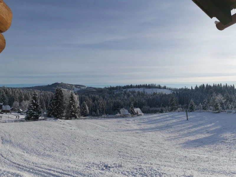 Lepus Szállás | Panzió (K0837-32) A kép szerzői jogvédelem alatt állhat. Javasolt a kapcsolatfelvétel a jog tulajdonossal. Lepus Szállás | Panzió (K0837-32) A kép szerzői jogvédelem alatt állhat. Javasolt a kapcsolatfelvétel a jog tulajdonossal.