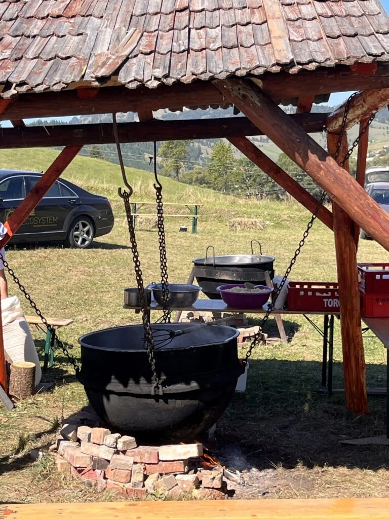 Lunca de Jos Cazare | Pensiune (K0807-67) Imaginea poate fi supusă drepturilor de autor. Se recomandă contactarea titularului drepturilor.