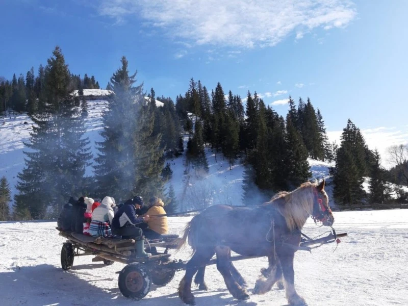Gyimesközéplok Szállás | Panzió (K0807-69) A kép szerzői jogvédelem alatt állhat. Javasolt a kapcsolatfelvétel a jog tulajdonossal.