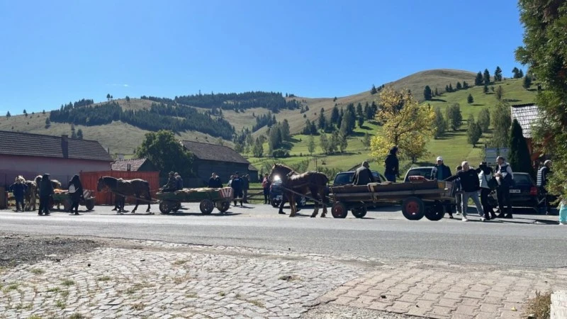 Gyimesközéplok Szállás | Panzió (K0807-71) A kép szerzői jogvédelem alatt állhat. Javasolt a kapcsolatfelvétel a jog tulajdonossal.