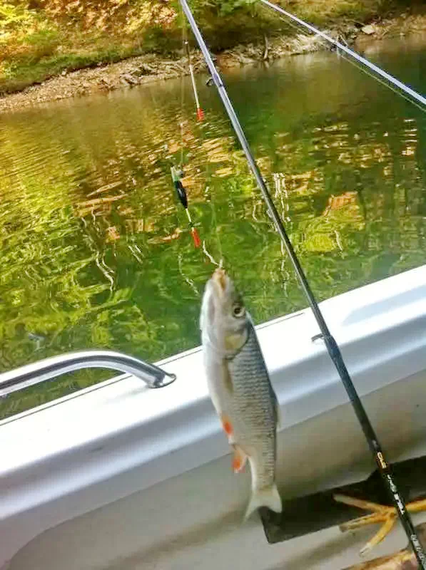 Cluj-Napoca Cazare | Cabană (K0893-30) Imaginea poate fi supusă drepturilor de autor. Se recomandă contactarea titularului drepturilor.