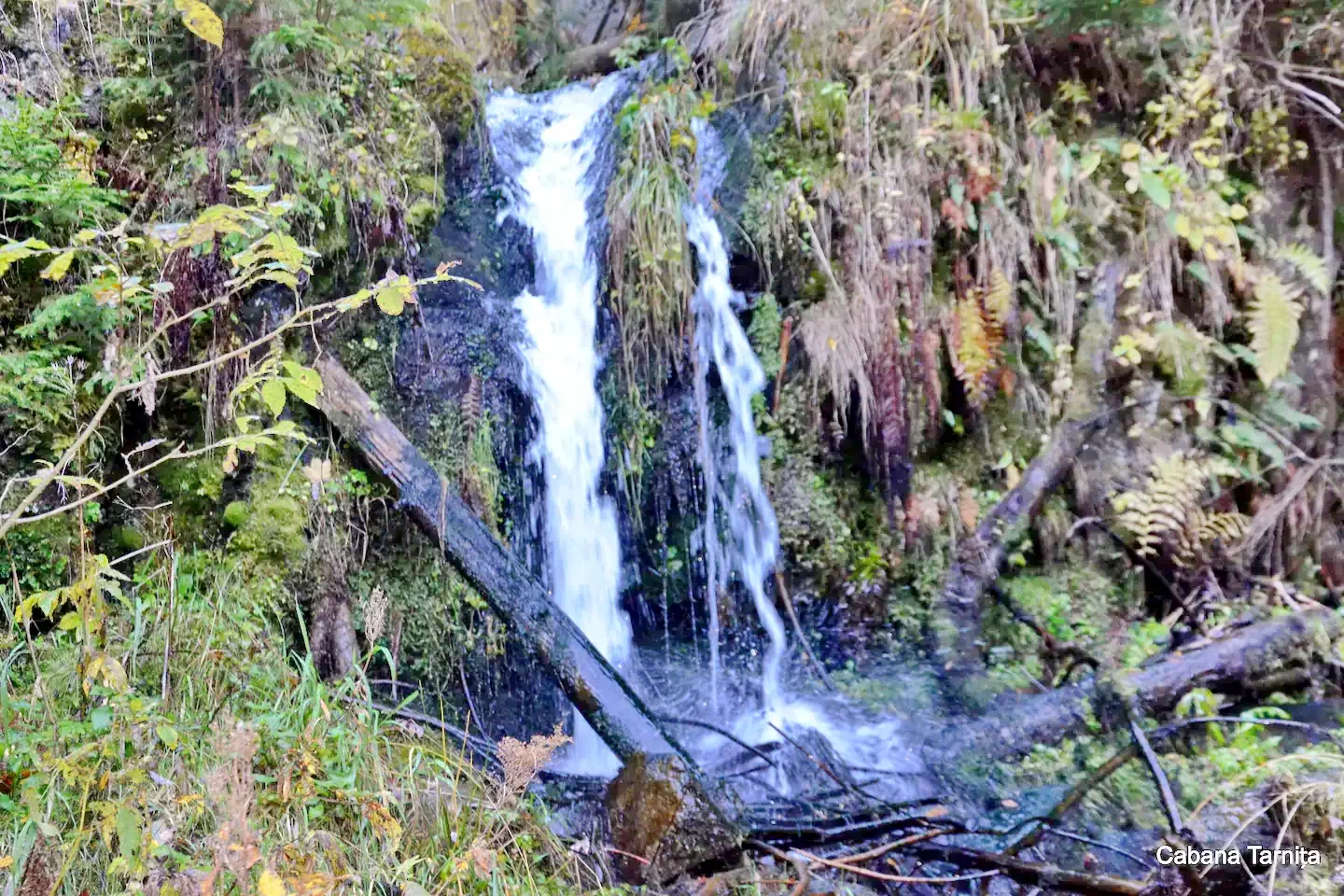 Kolozsvár Szállás | Kulcsosház (K0893-45) A kép szerzői jogvédelem alatt állhat. Javasolt a kapcsolatfelvétel a jog tulajdonossal.