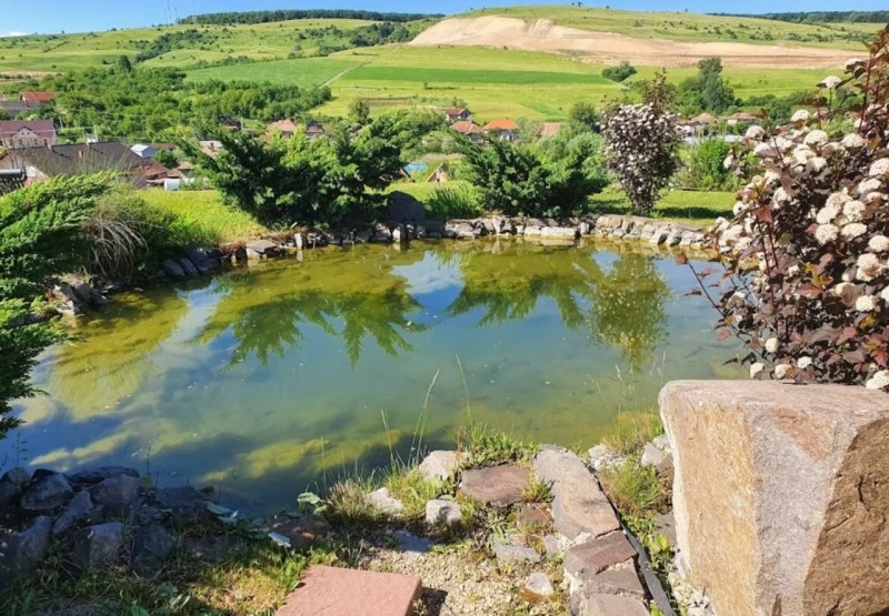 Cluj-Napoca Cazare | Pensiune (K1447-67) Imaginea poate fi supusă drepturilor de autor. Se recomandă contactarea titularului drepturilor.