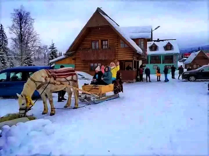 Szállás Ic Ponor Padiș - Vila Ioana | Ic Ponor Pádis - Ioana Villa. A kép szerzői jogvédelem alatt állhat. Javasolt a kapcsolatfelvétel a jog tulajdonossal.