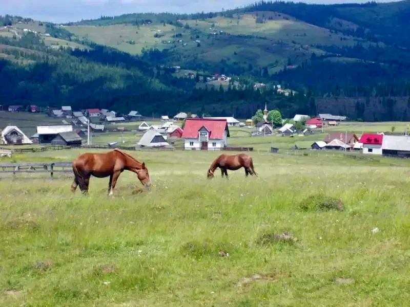 Smida Cazare | Pensiune (K1245-53) Imaginea poate fi supusă drepturilor de autor. Se recomandă contactarea titularului drepturilor. Smida Cazare | Pensiune (K1245-53) Imaginea poate fi supusă drepturilor de autor. Se recomandă contactarea titularului drepturilor.