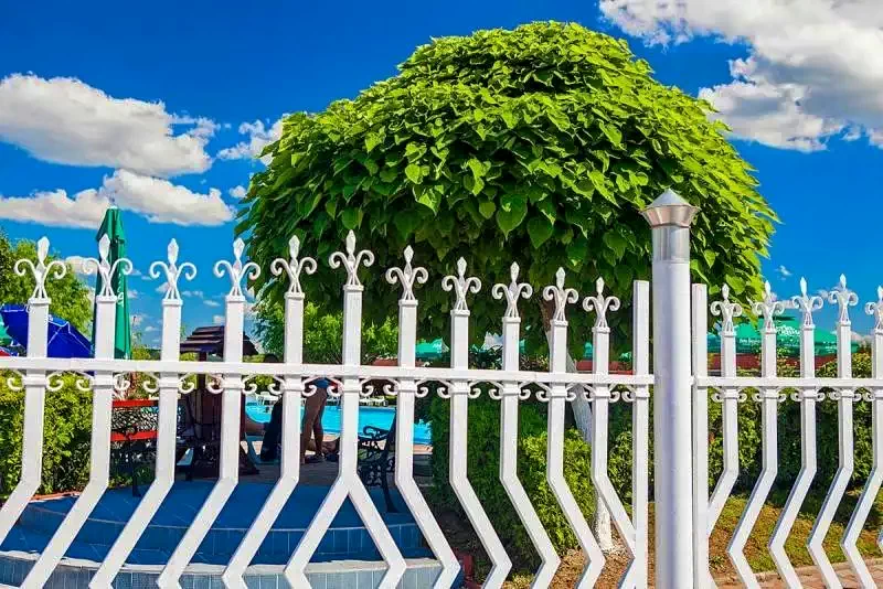 Târgu Mureș Cazare | Hotel*** (K1346-7) Imaginea poate fi supusă drepturilor de autor. Se recomandă contactarea titularului drepturilor.