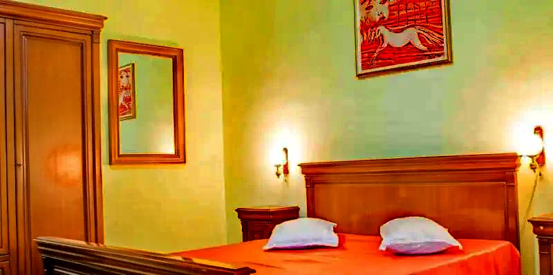 Târgu Mureș Cazare | Hotel*** (K1346-44) Imaginea poate fi supusă drepturilor de autor. Se recomandă contactarea titularului drepturilor.