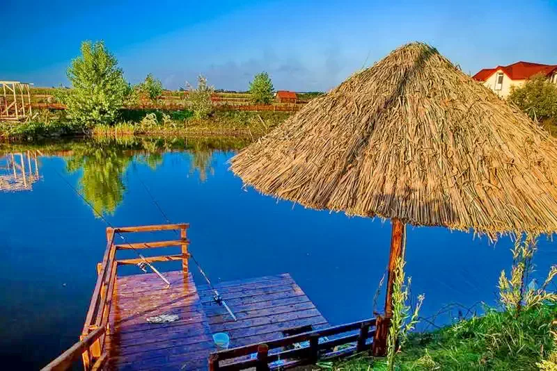 Târgu Mureș Cazare | Hotel*** (K1346-52) Imaginea poate fi supusă drepturilor de autor. Se recomandă contactarea titularului drepturilor.