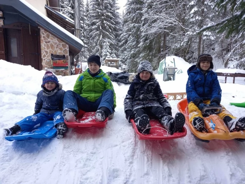 Padis Cazare | Pensiune (K0074-44) Imaginea poate fi supusă drepturilor de autor. Se recomandă contactarea titularului drepturilor. Padis Cazare | Pensiune (K0074-44) Imaginea poate fi supusă drepturilor de autor. Se recomandă contactarea titularului drepturilor.