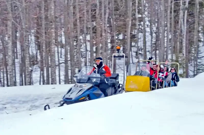 Padis Cazare | Pensiune (K0074-49) Imaginea poate fi supusă drepturilor de autor. Se recomandă contactarea titularului drepturilor. Padis Cazare | Pensiune (K0074-49) Imaginea poate fi supusă drepturilor de autor. Se recomandă contactarea titularului drepturilor.