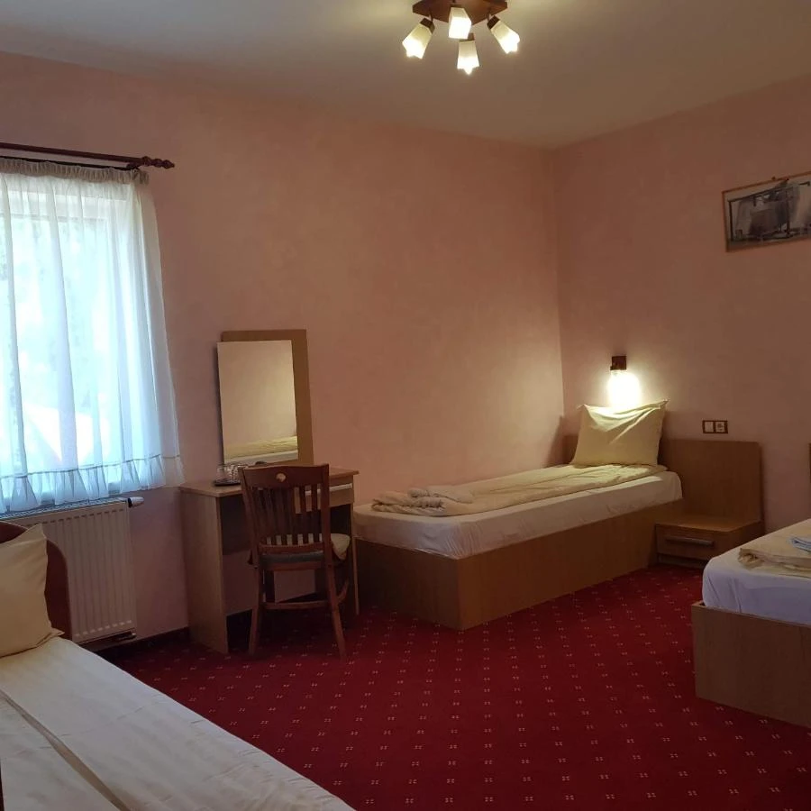 Târgu Mureș Cazare | Motel (K0661-42) Imaginea poate fi supusă drepturilor de autor. Se recomandă contactarea titularului drepturilor.