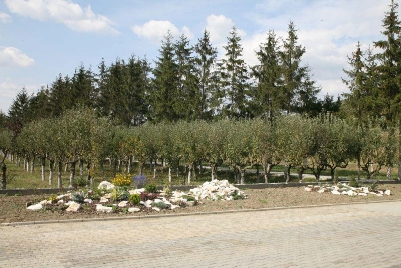 Târgu Mureș Cazare | Motel (K0661-48) Imaginea poate fi supusă drepturilor de autor. Se recomandă contactarea titularului drepturilor.