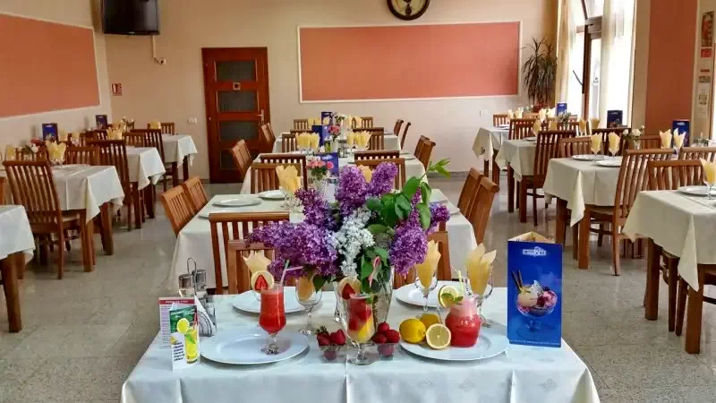 Kolozsvár Szállás | Hotel** (K1388-3) A kép szerzői jogvédelem alatt állhat. Javasolt a kapcsolatfelvétel a jog tulajdonossal.