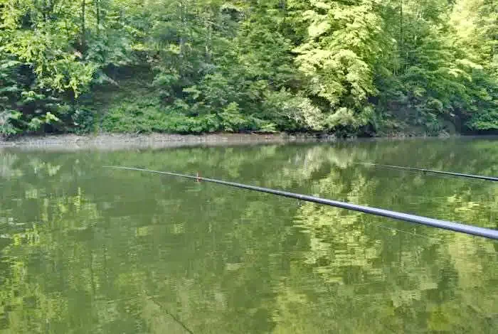 Kolozsvár Szállás | Kulcsosház (K0893-32) A kép szerzői jogvédelem alatt állhat. Javasolt a kapcsolatfelvétel a jog tulajdonossal.