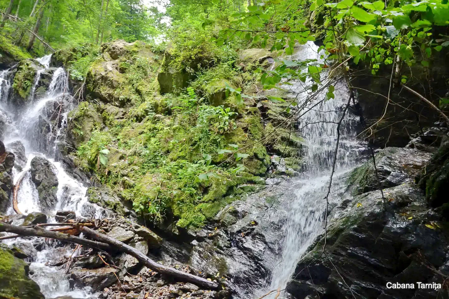 Cluj-Napoca Cazare | Cabană (K0893-42) Imaginea poate fi supusă drepturilor de autor. Se recomandă contactarea titularului drepturilor.