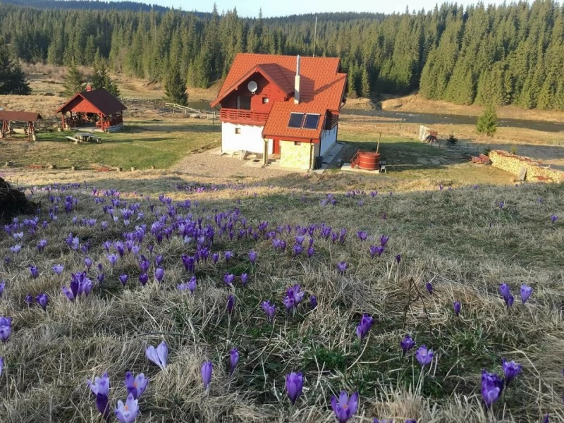 Ic Ponor Pádis Szállás | Panzió (K1247-34) A kép szerzői jogvédelem alatt állhat. Javasolt a kapcsolatfelvétel a jog tulajdonossal. Ic Ponor Pádis Szállás | Panzió (K1247-34) A kép szerzői jogvédelem alatt állhat. Javasolt a kapcsolatfelvétel a jog tulajdonossal.