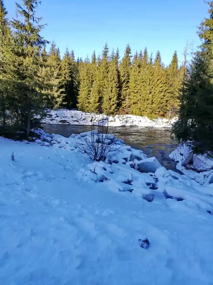 Ic Ponor Padis Cazare | Pensiune (K1247-41) Imaginea poate fi supusă drepturilor de autor. Se recomandă contactarea titularului drepturilor.