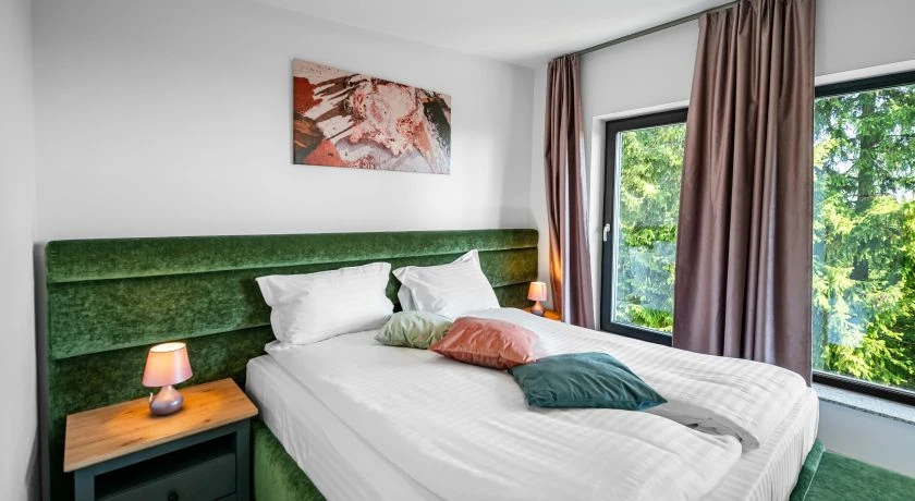 Cazare Harghita Băi - Hotel OZON Wellness***  | Hargitafürdő - OZON Wellness Hotel***. Imaginea poate fi supusă drepturilor de autor. Se recomandă contactarea titularului drepturilor.