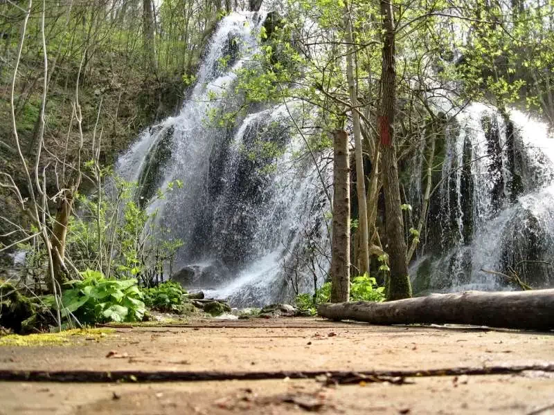 Szászkabánya Szállás | Panzió (K1272-60) A kép szerzői jogvédelem alatt állhat. Javasolt a kapcsolatfelvétel a jog tulajdonossal.