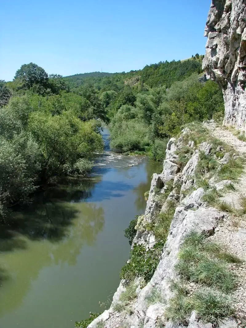 Sasca Montană Cazare | Pensiune (K1272-61) Imaginea poate fi supusă drepturilor de autor. Se recomandă contactarea titularului drepturilor.