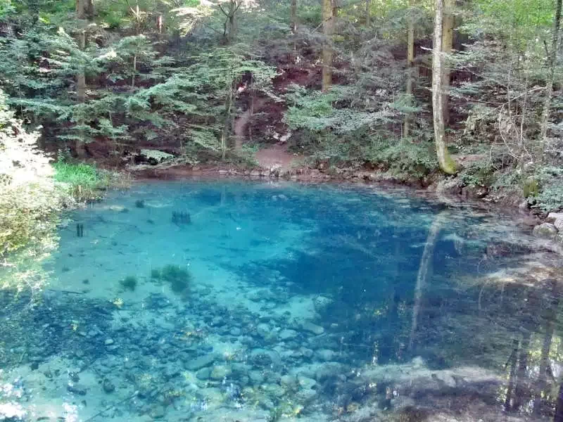 Sasca Montană Cazare | Pensiune (K1272-62) Imaginea poate fi supusă drepturilor de autor. Se recomandă contactarea titularului drepturilor.