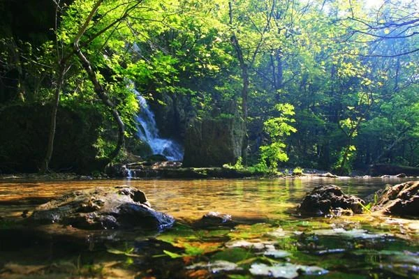 Sasca Montană Cazare | Pensiune (K1272-63) Imaginea poate fi supusă drepturilor de autor. Se recomandă contactarea titularului drepturilor.