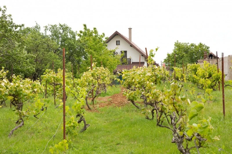 Oradea Cazare | Cabană (K1403-45) Imaginea poate fi supusă drepturilor de autor. Se recomandă contactarea titularului drepturilor.