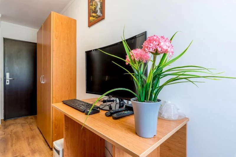 Cluj-Napoca Cazare | Pensiune (K1447-54) Imaginea poate fi supusă drepturilor de autor. Se recomandă contactarea titularului drepturilor.