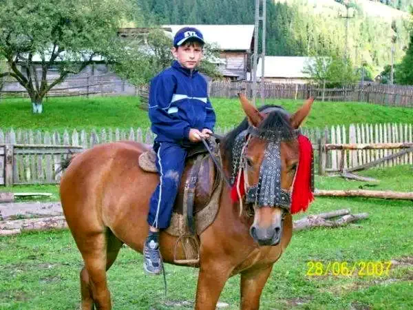 Pádis Szállás | Vendégház (K0711-42) A kép szerzői jogvédelem alatt állhat. Javasolt a kapcsolatfelvétel a jog tulajdonossal.