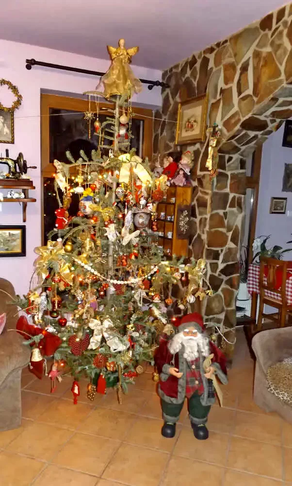 Cazare Valea Boghii -  Pensiunea Anett *** | Boga Völgye - Anett Panzió *** . Imaginea poate fi supusă drepturilor de autor. Se recomandă contactarea titularului drepturilor.