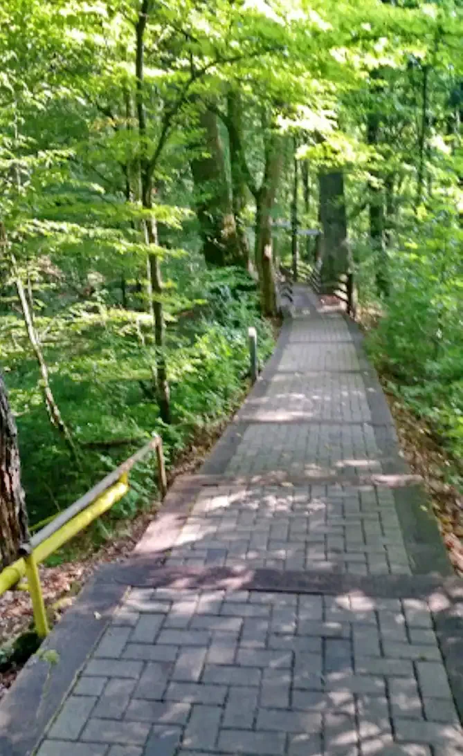 Cazare Sovata -  Hotel Tivoli **+ | Szováta - Tivoli Hotel **+. Imaginea poate fi supusă drepturilor de autor. Se recomandă contactarea titularului drepturilor.