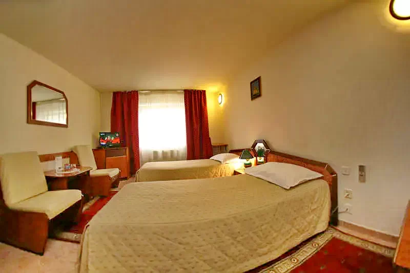 Cazare Timișoara - Hotel Euro*** | Temesvár - Euro Hotel***. Imaginea poate fi supusă drepturilor de autor. Se recomandă contactarea titularului drepturilor.